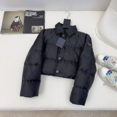 Louis Vuitton Down Jackets